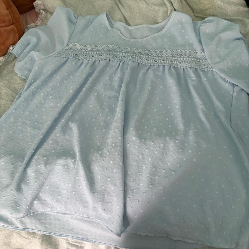 Womens Light Blue Top with Dotted Swiss Appliqués NWOT